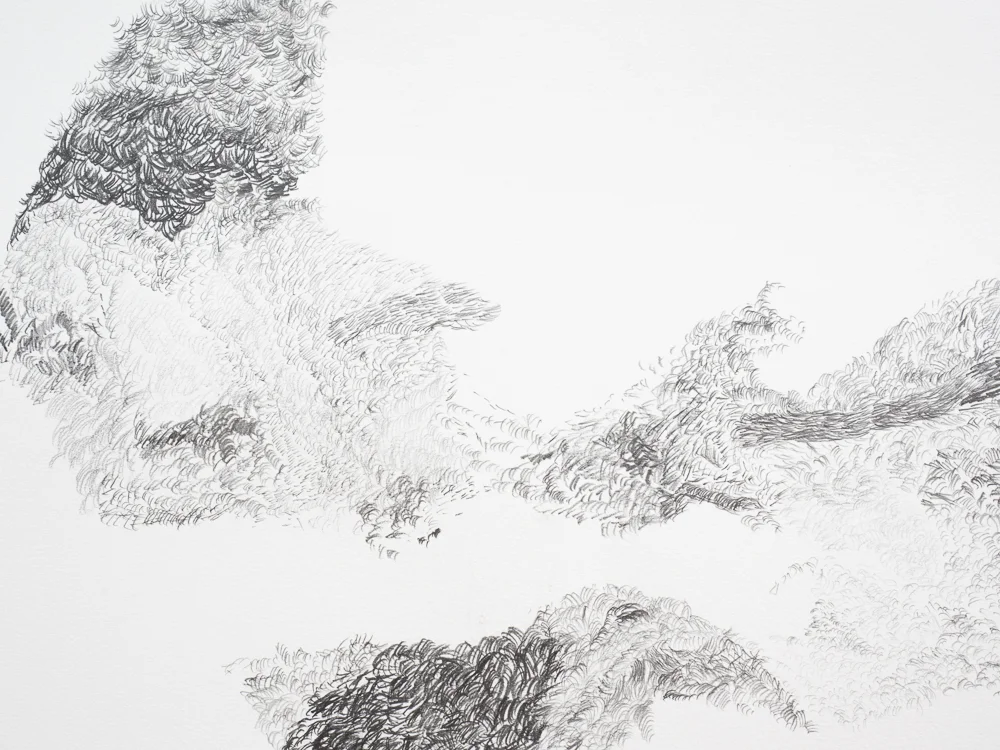 Drawings Rita de Sá-26.jpg