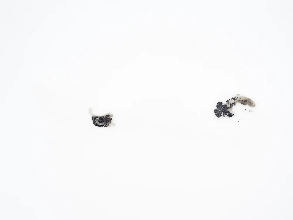   Untitled , 2015  Mixed media on tracing paper  59,4x84,1cm 