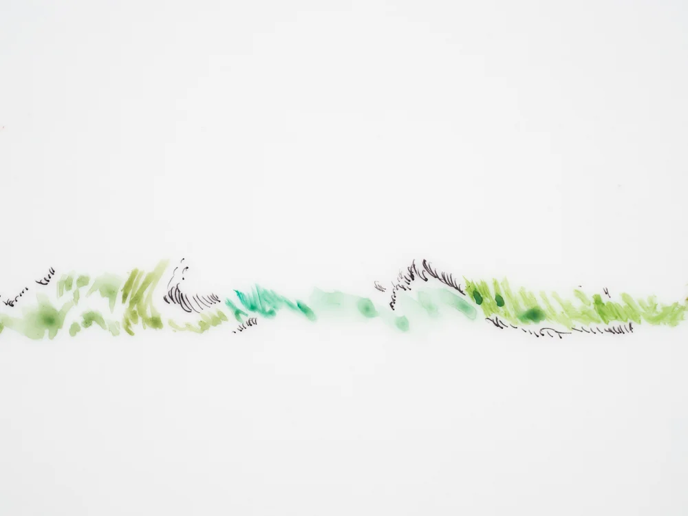   Home , 2013  Watercolour on tracing paper  42x59,4cm 