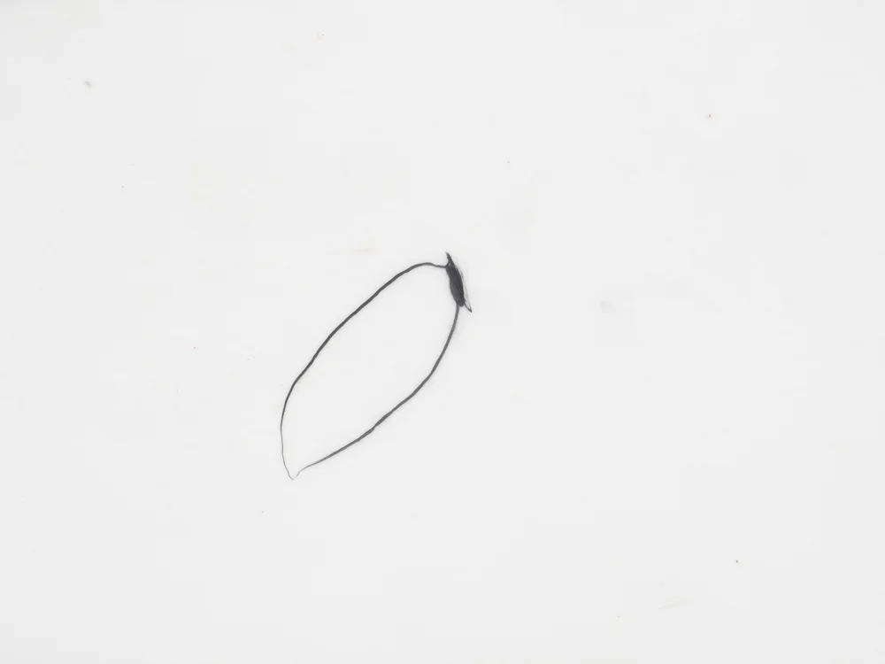 Drawings Rita de Sá-17.jpg