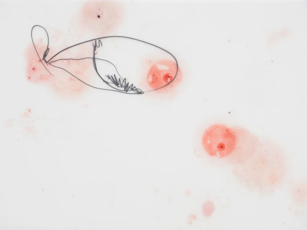 Drawings Rita de Sá-29.jpg