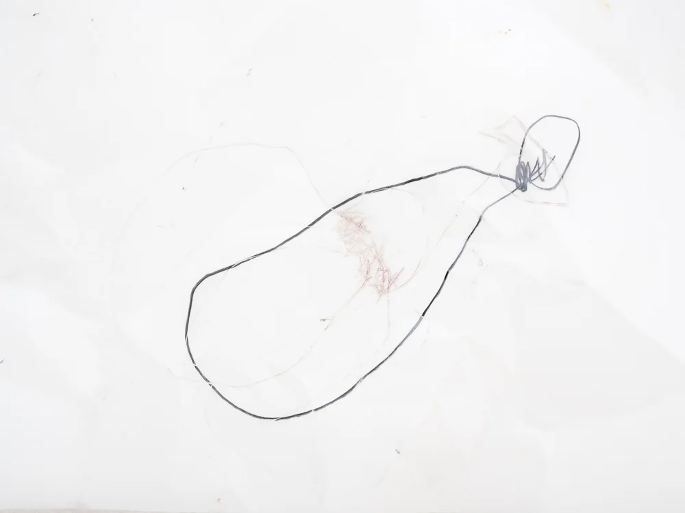   101 Drawings , 2007-2009  Graphite and watercolour on tracing paper  10x15cm  Drawing installation for  CO-Pression  exhibition   