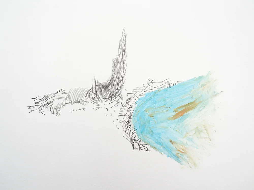  After After Turner series #23, 2014  Oil pastel and graphite on paper  15x18cm 