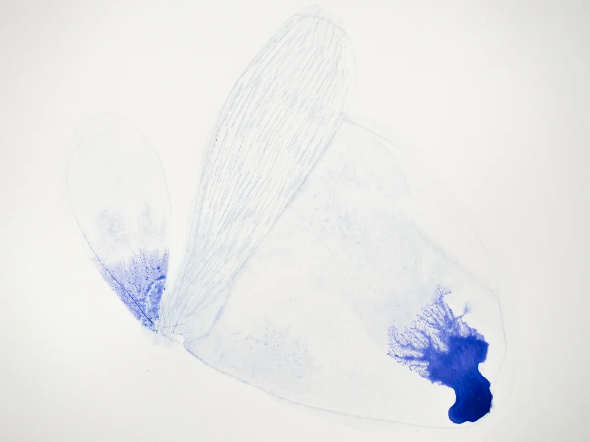   Untitled , 2011  Watercolour on paper  15x15cm 