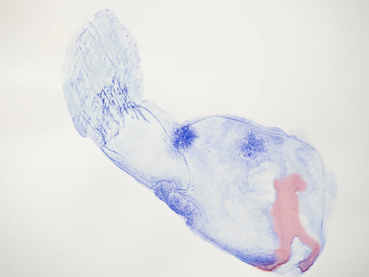   Untitled , 2011  Watercolour on paper  15x15cm 