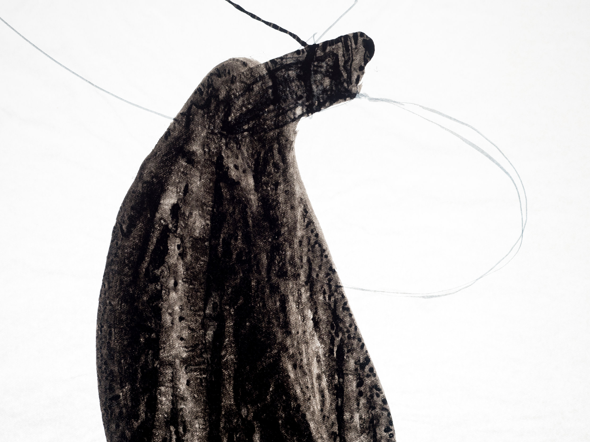   Untitled , 2004  Indian ink on tracing paper  84,1x118,9cmm 