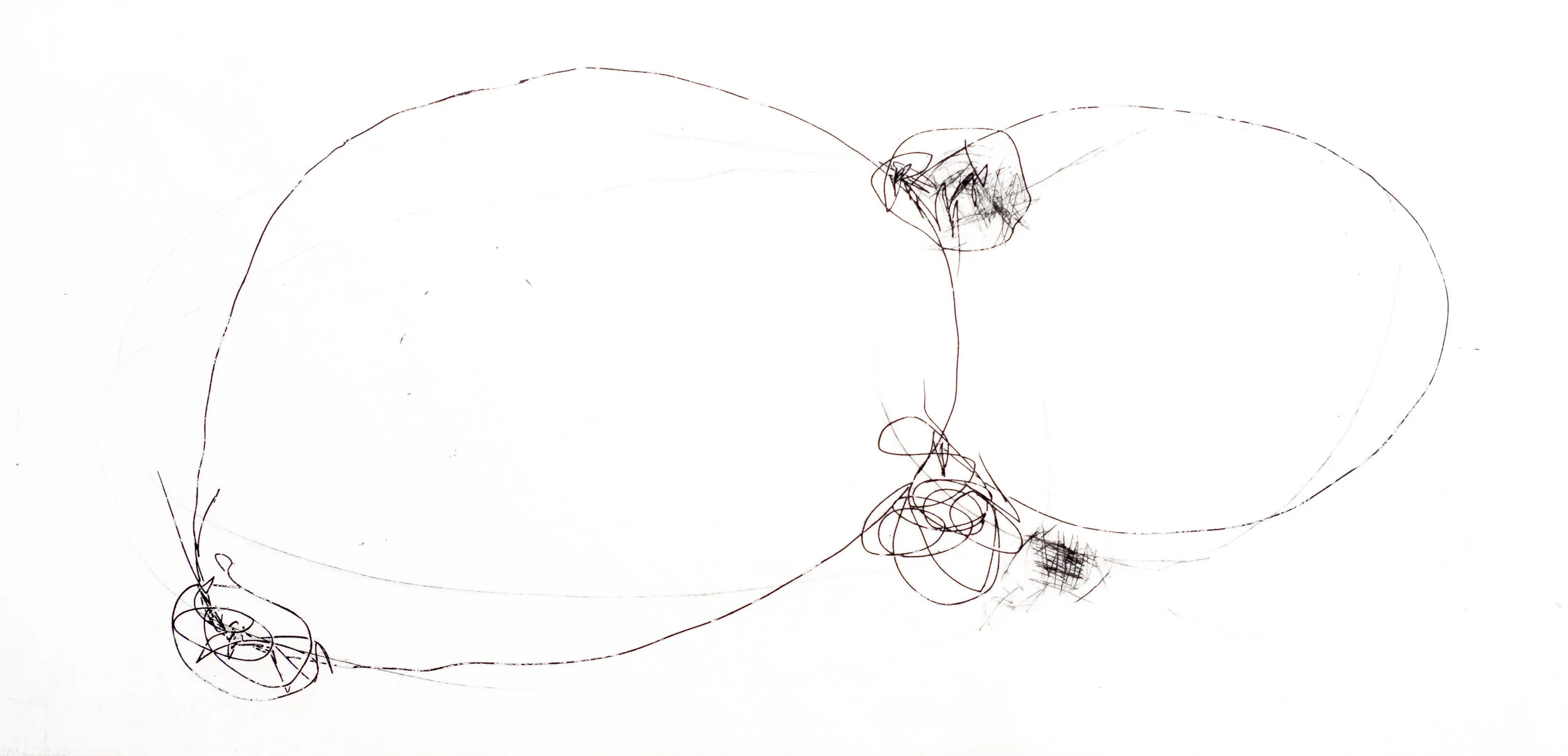 Drawings Rita de Sá-18.jpg
