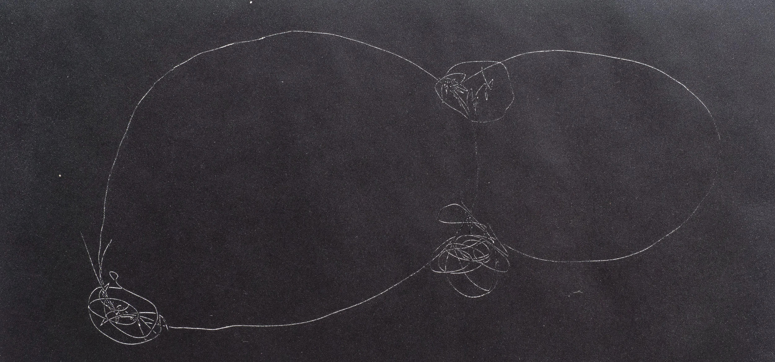 Drawings Rita de Sá-19.jpg