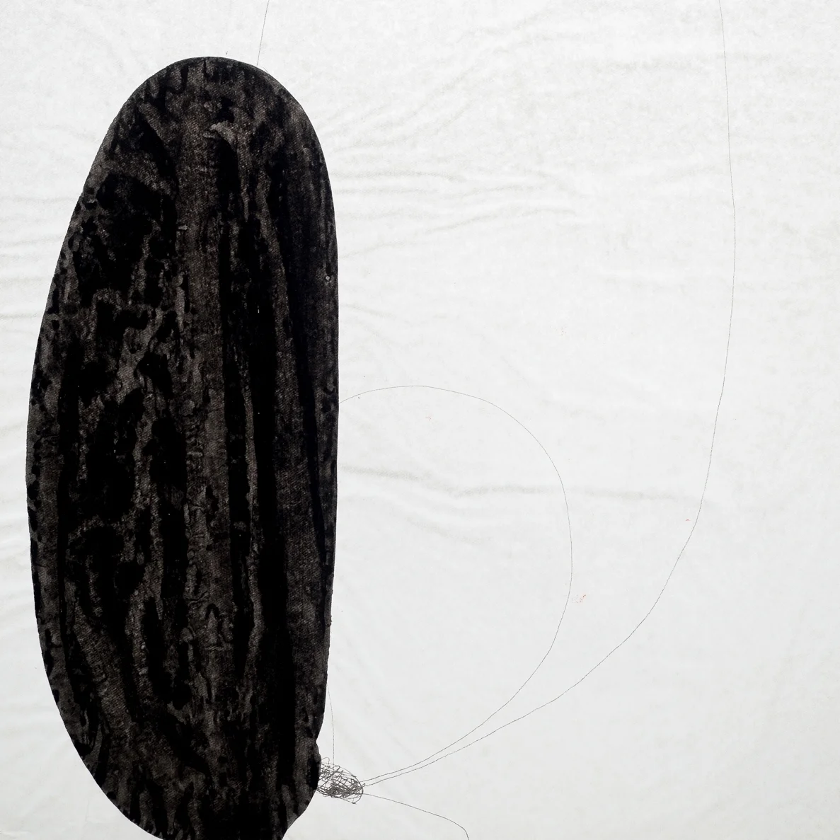 Untitled , 2012 Indian Ink and graphite on tracing paper 100x150cm