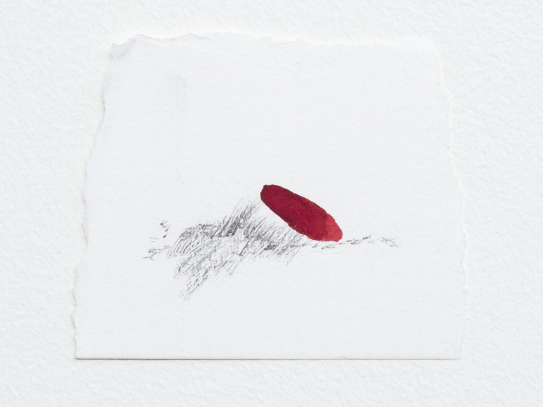 Untitled , 2010 Graphite and watercolour on paper Variable dimensions