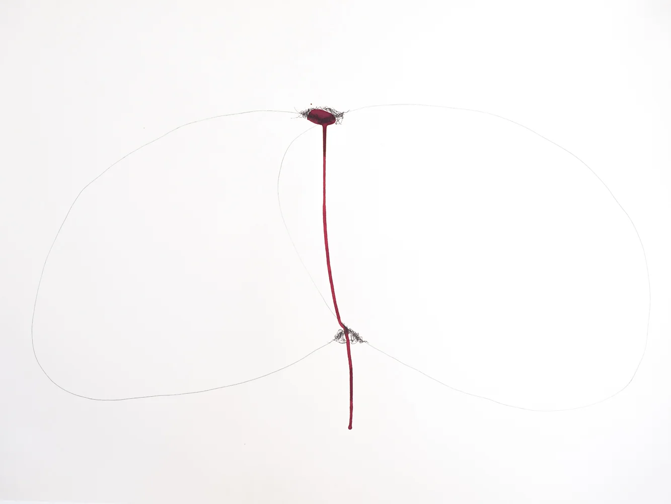   Untitled,  2006  Graphite and watercolour on paper  59,4x84,1cm 