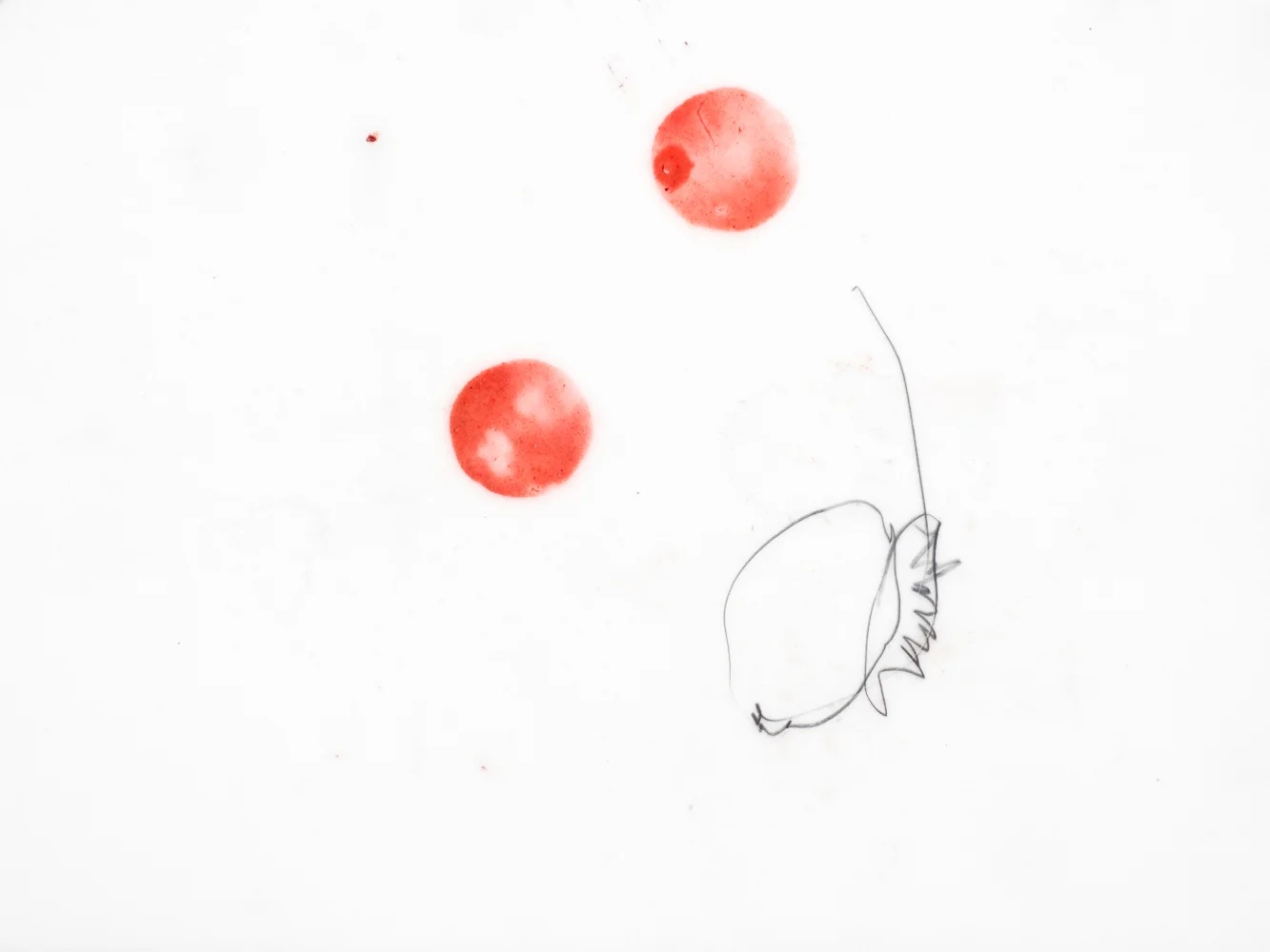 Drawings Rita de Sá-37.jpg