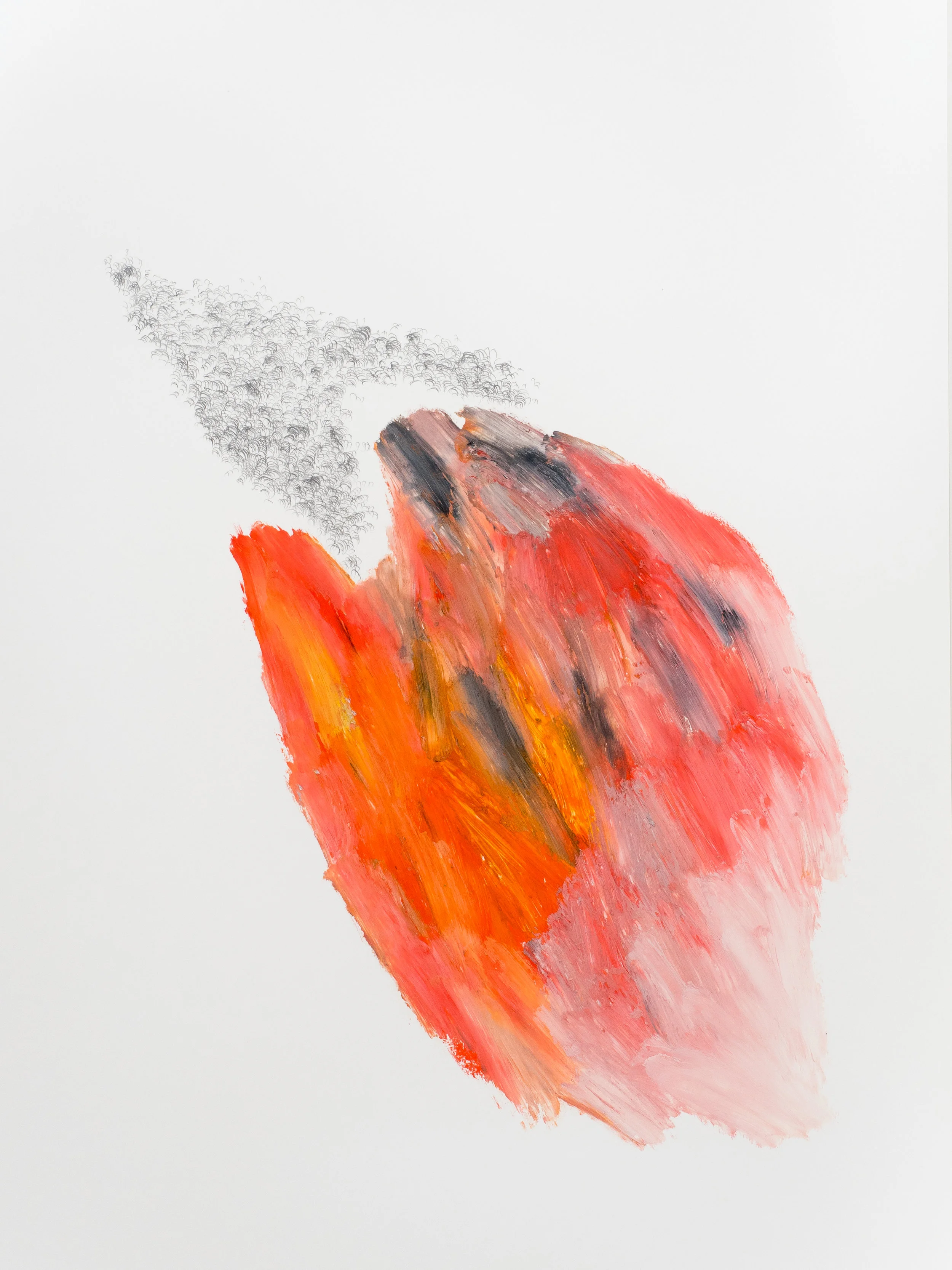  After After Turner series #72, 2018  Graphite and oil on paper  60x84cm 