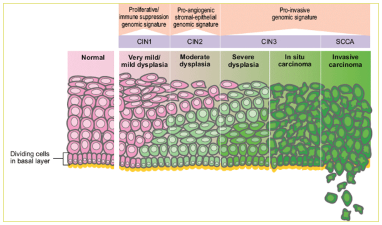 https://home.ccr.cancer.gov/inthejournals/archives/gius_03.asp