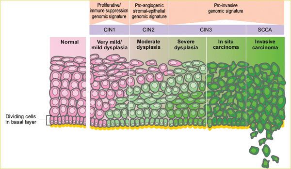 https://home.ccr.cancer.gov/inthejournals/archives/gius_03.asp