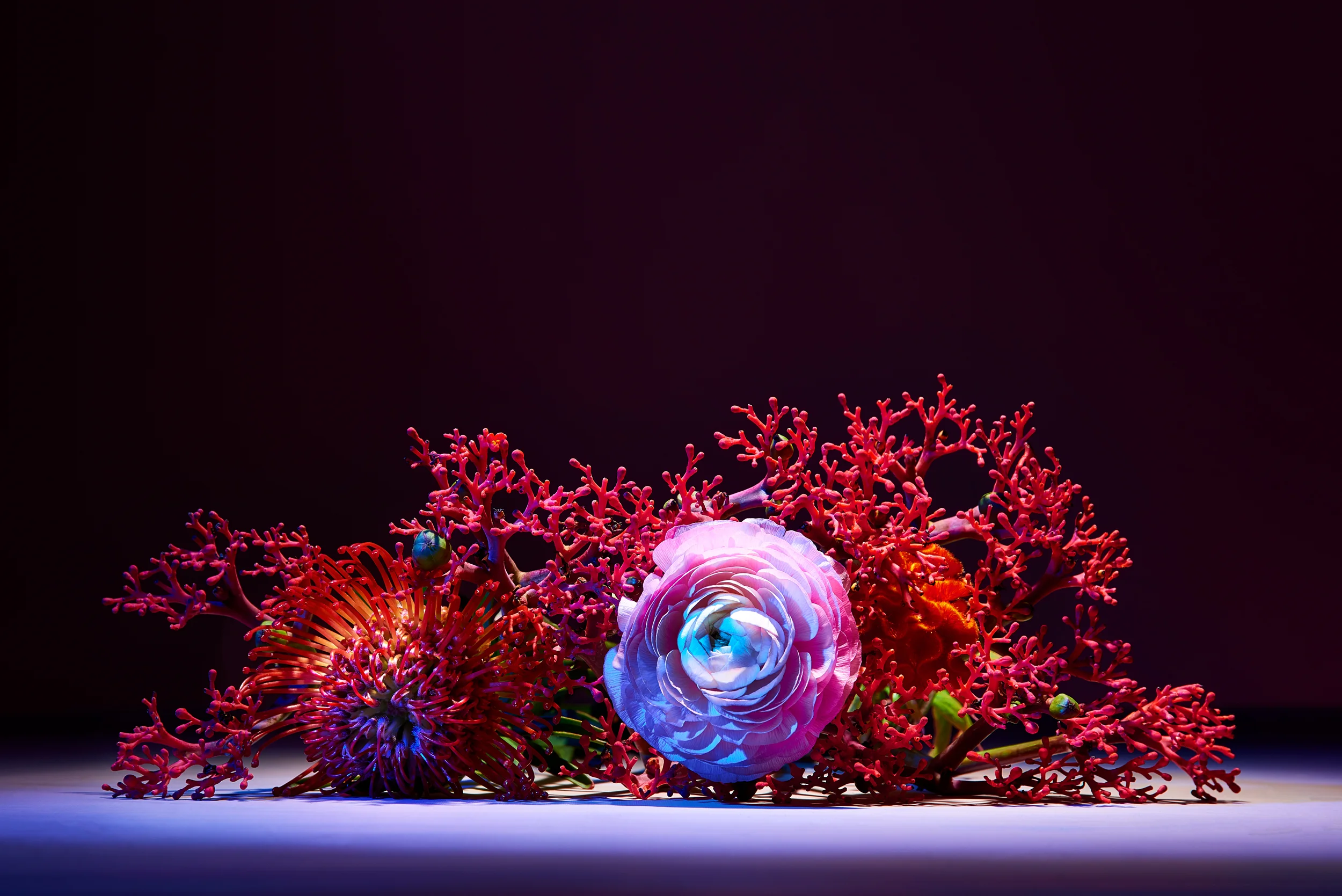 Flowers_05.jpg