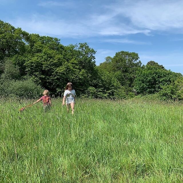 NATURE: I&rsquo;m going to start a weekly nature slot. Like a lot of people, we&rsquo;ve been finding solace in nature and have been going out for picnics at least once, twice or thrice a week recently - even if just in the garden or local park. I fi