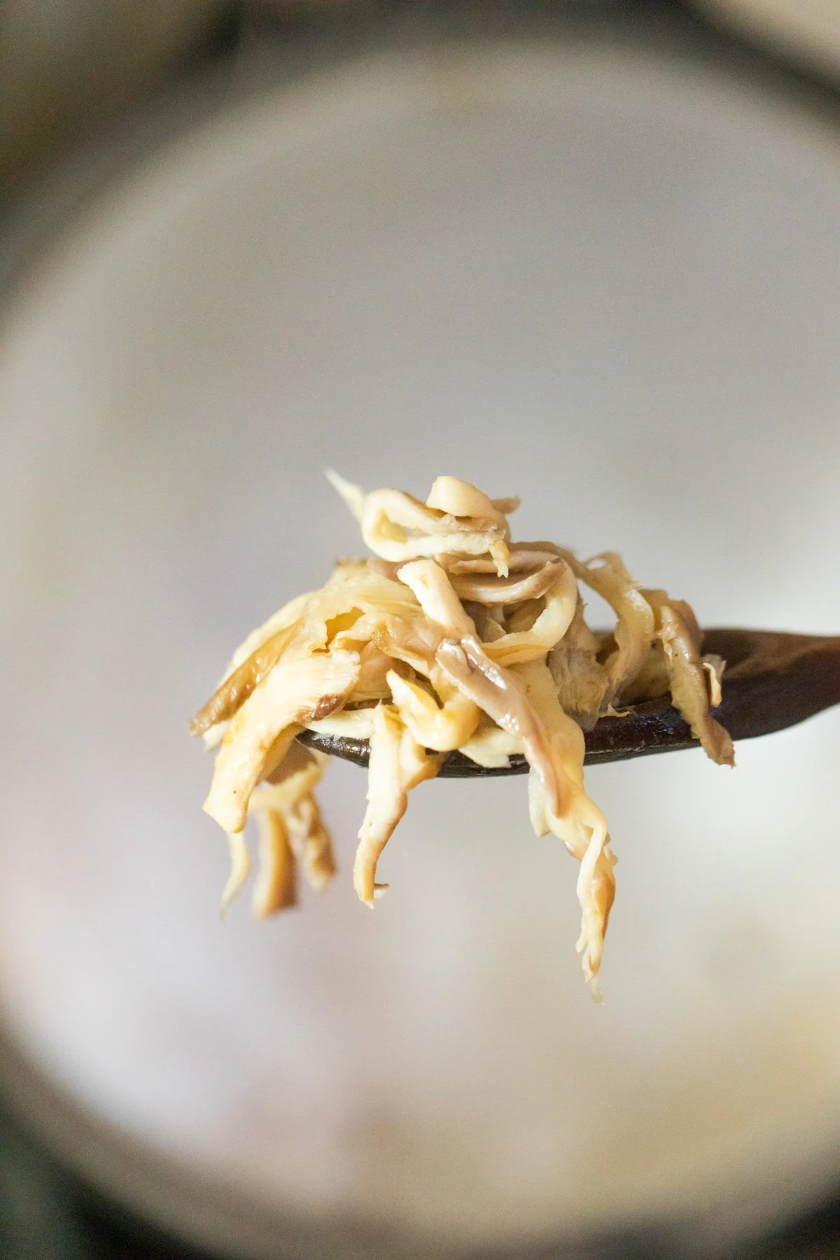 Oyster mushrooms on wooden spoon Oyster mushrooms on wooden spoon