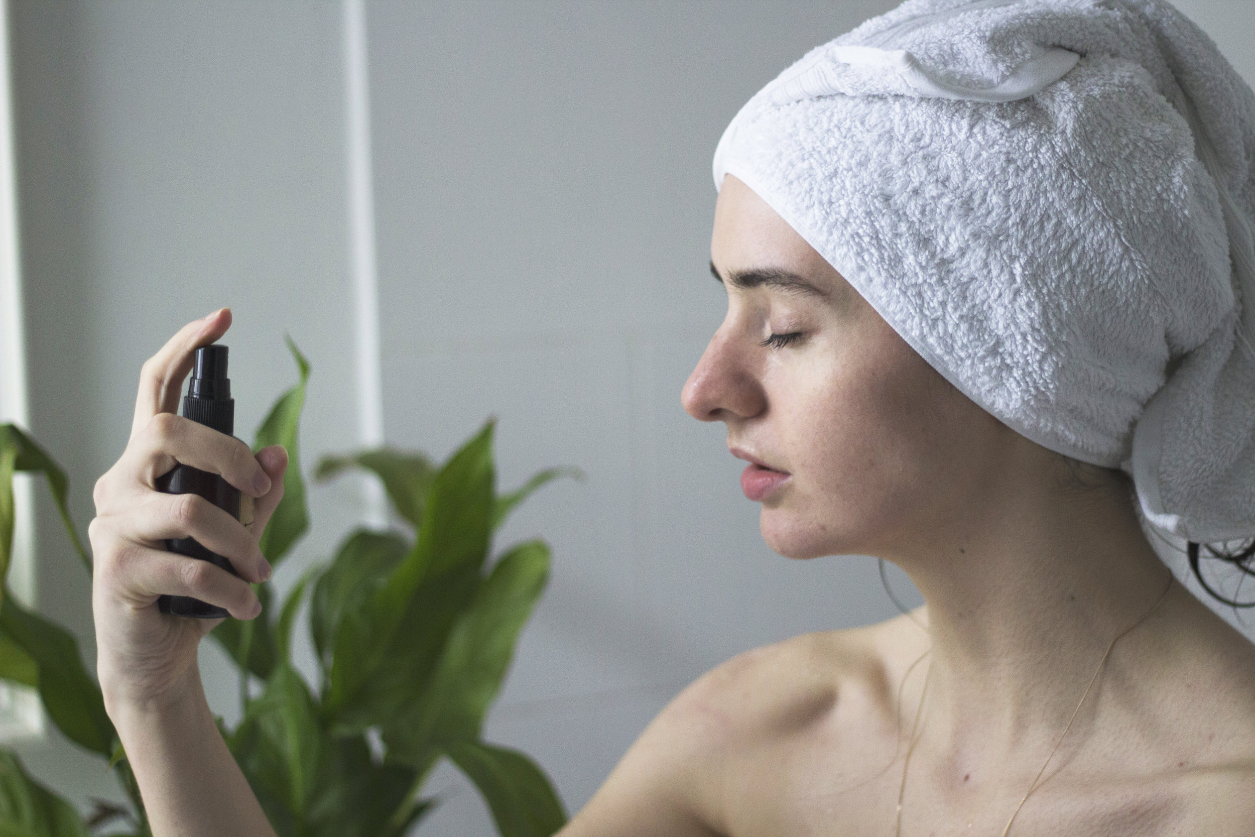 natural beauty DIY skin toner