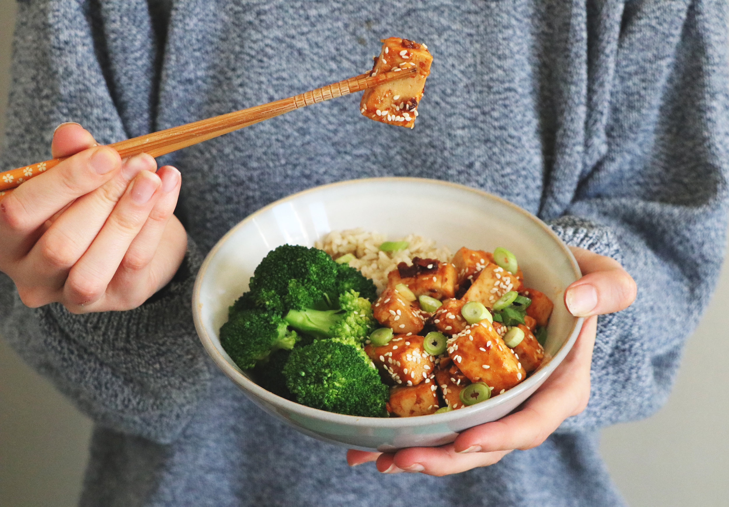 sweetandstickytofu.jpg