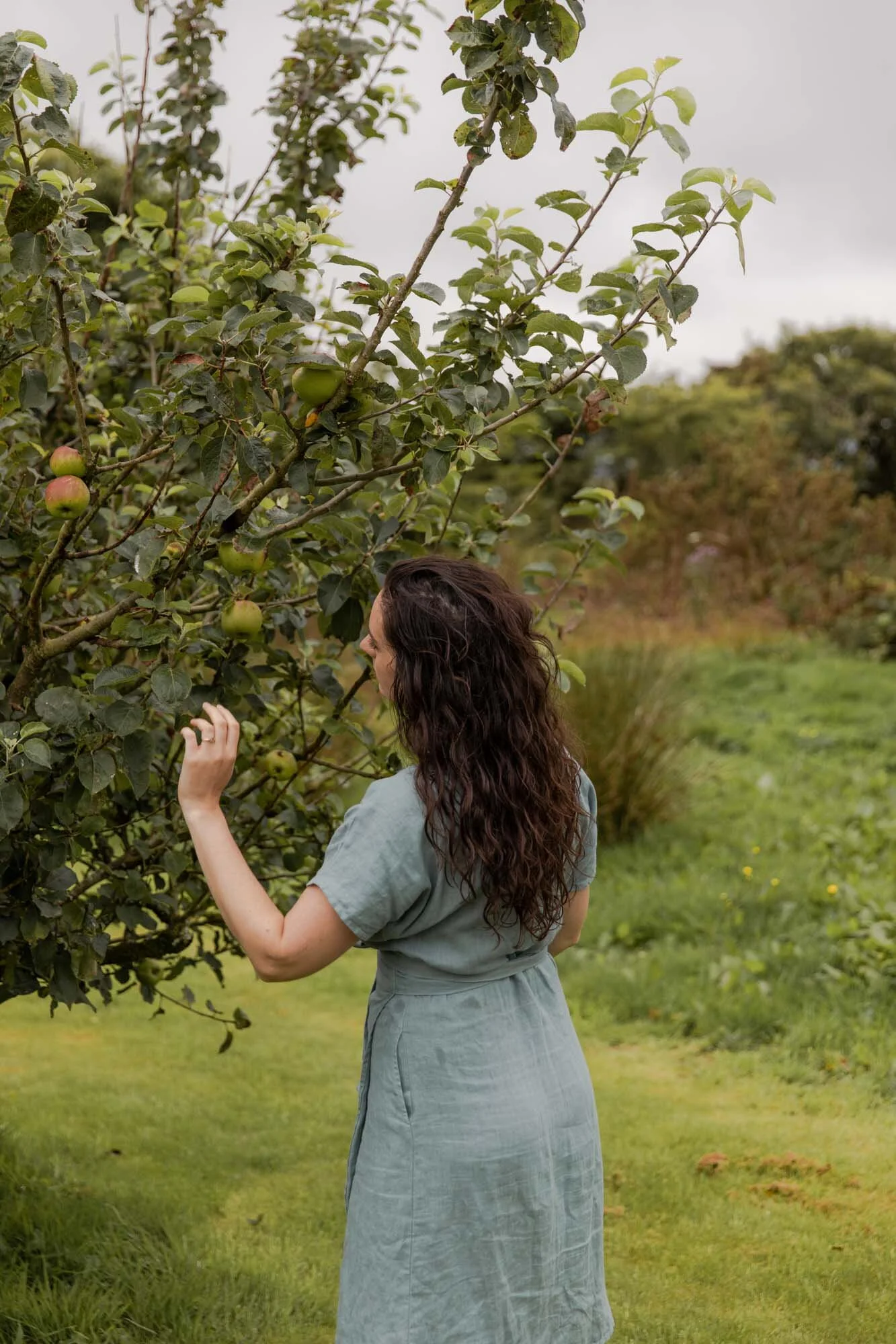 applepicking.jpg