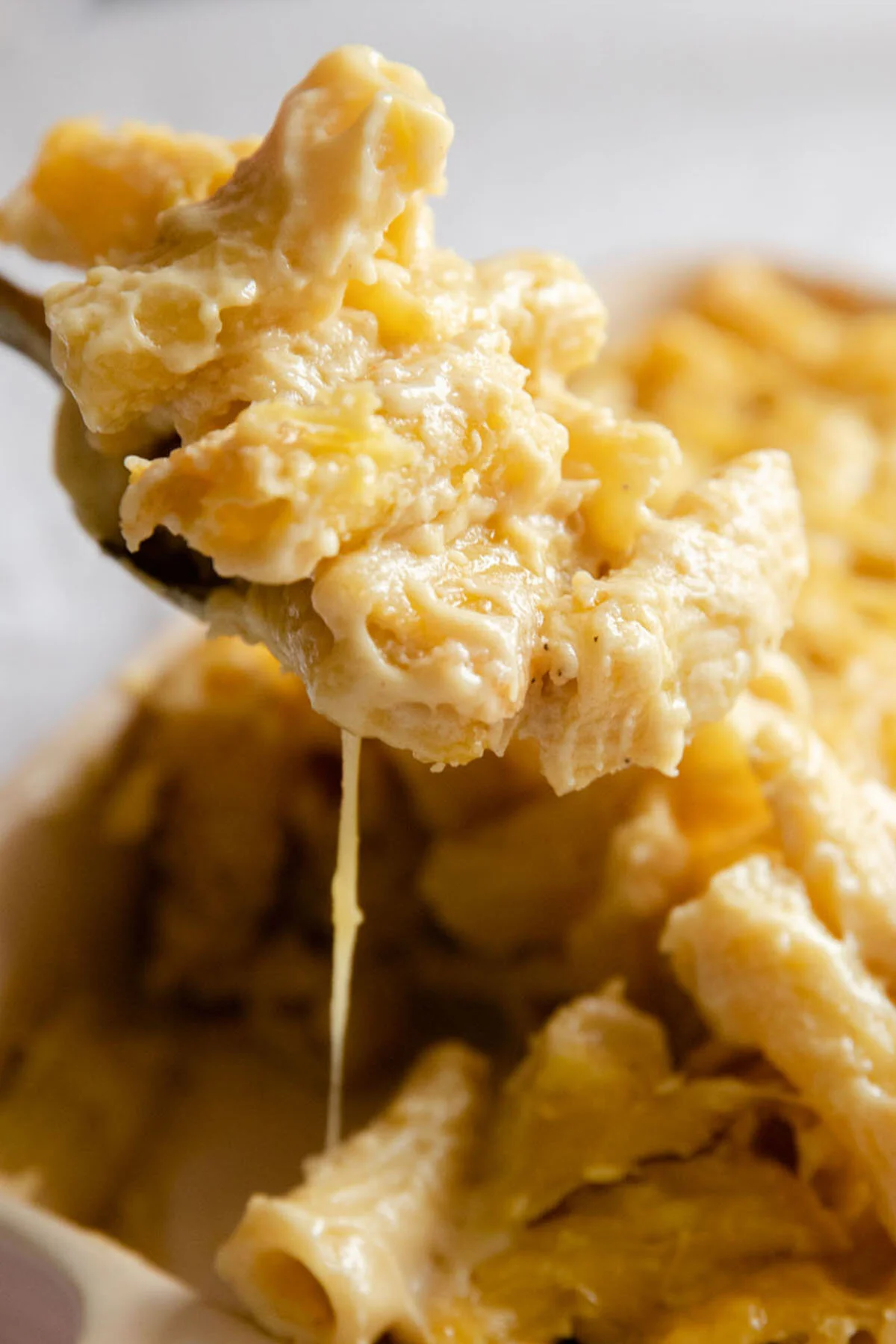 give your tastebuds a treat with the ultimate vegan mac and cheese that will fool anyone that it&rsquo;s real! - prep time 1 hour total time 1 hour 30 mins serves 4-6