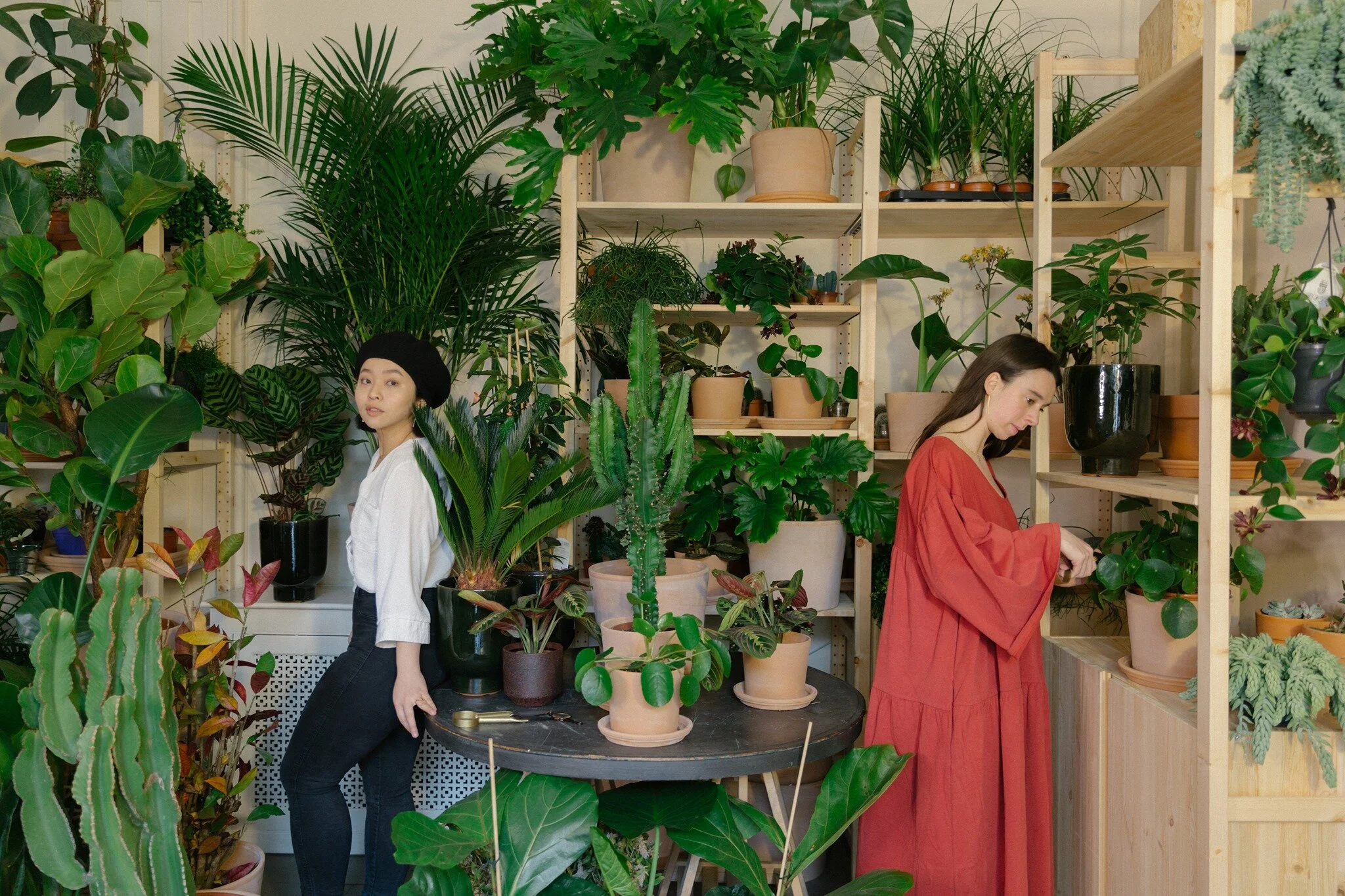 Cuemars - Best for: Art, Lighting, Plants