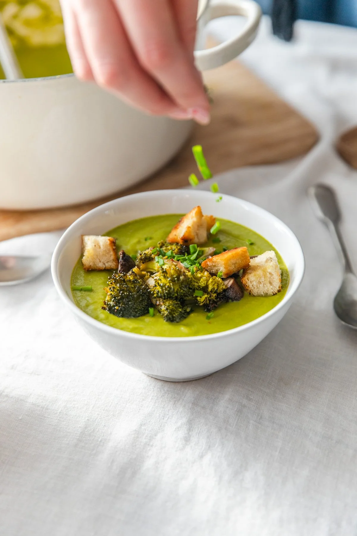 broccoli and mushroom soup