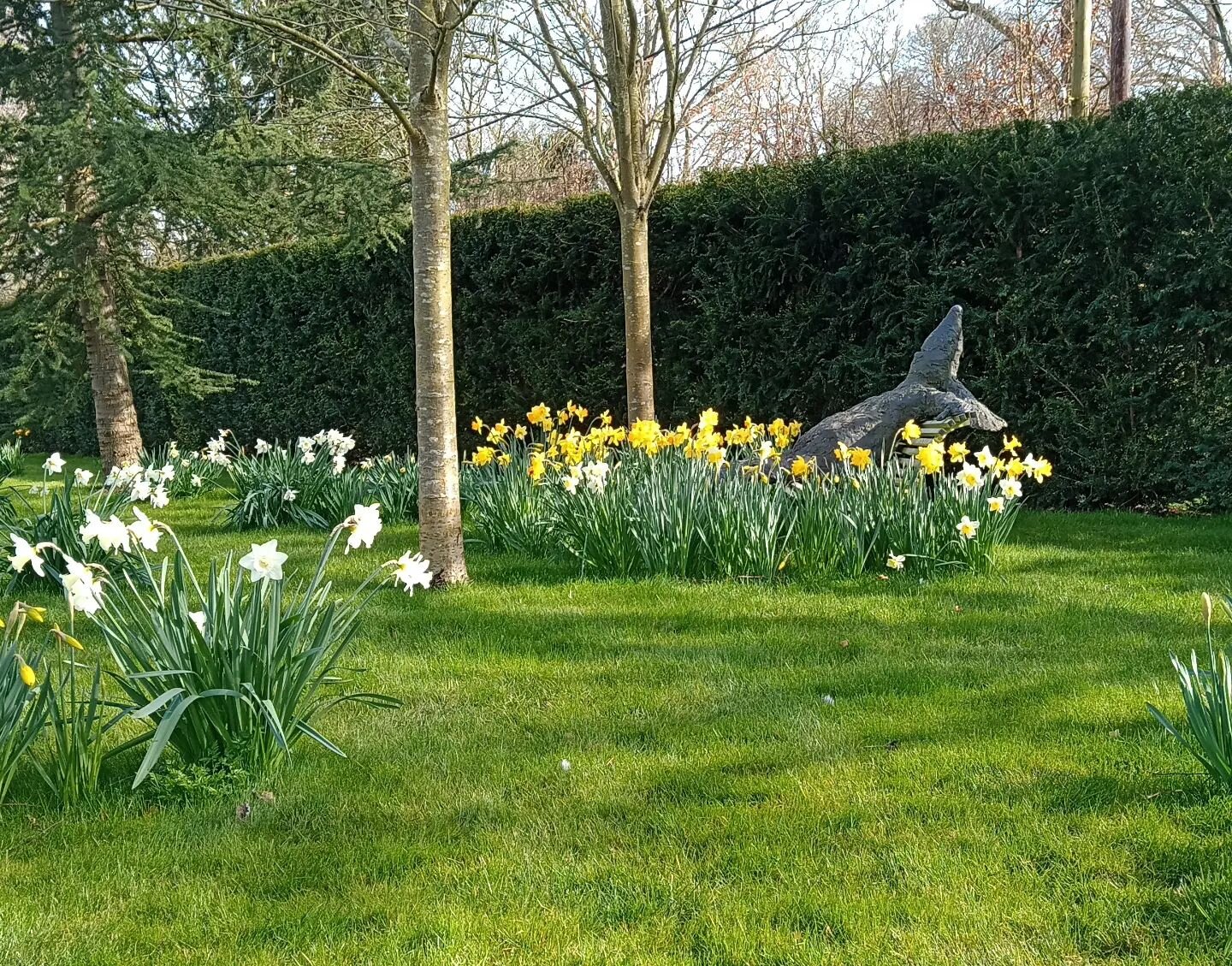 Mr Mouse enjoying the sunshine this afternoon in one of my gardens 🌞

#luckyorlazymouse#spring#springsunshine#perfectforgardening