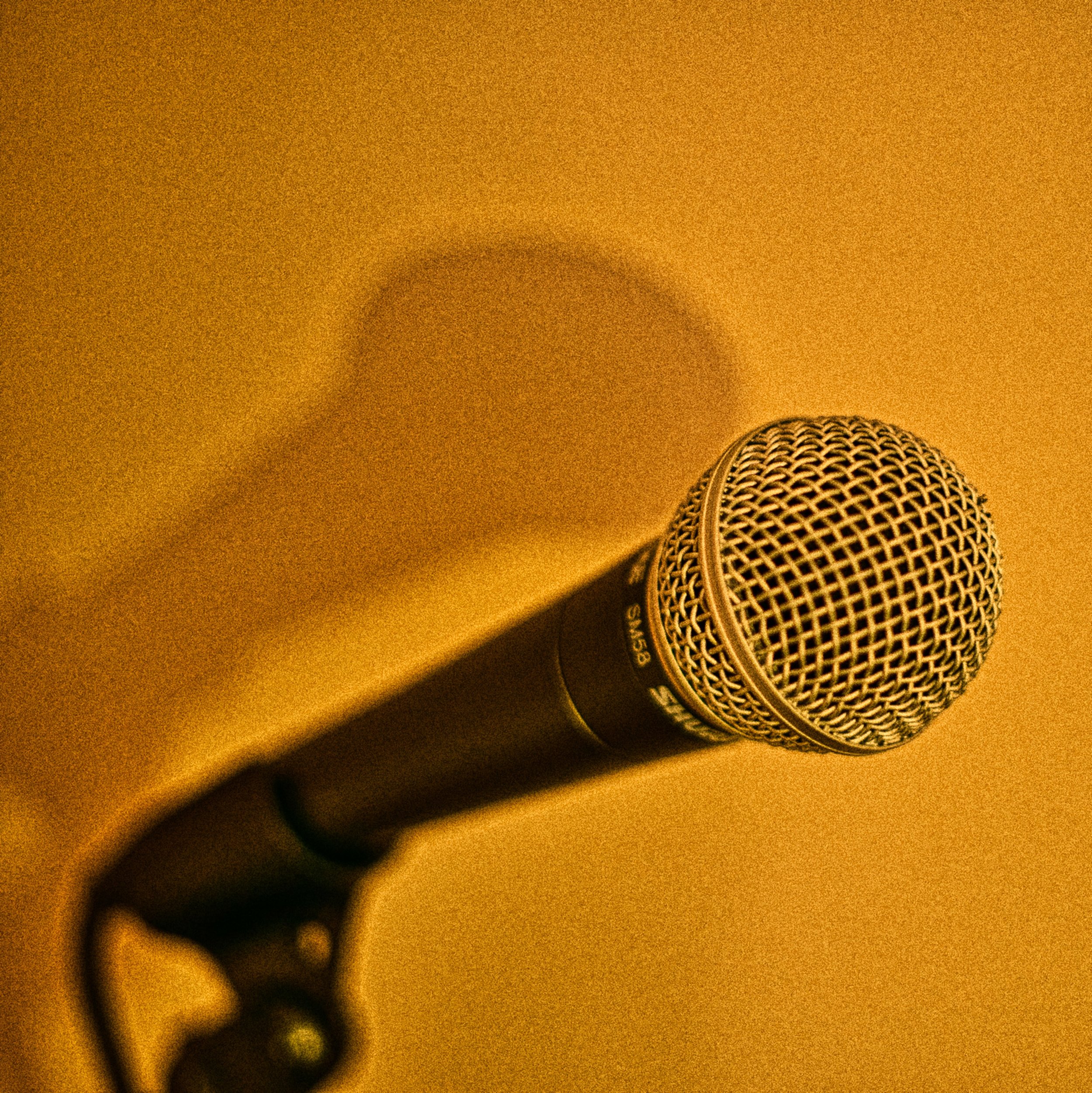 microphone.jpeg