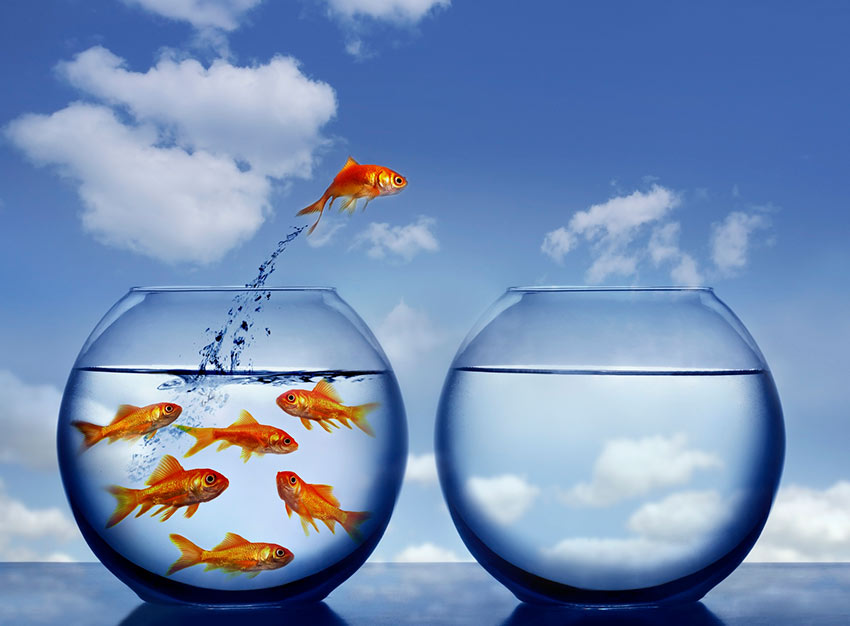 Disruption handler ikke (kun) om teknologi!