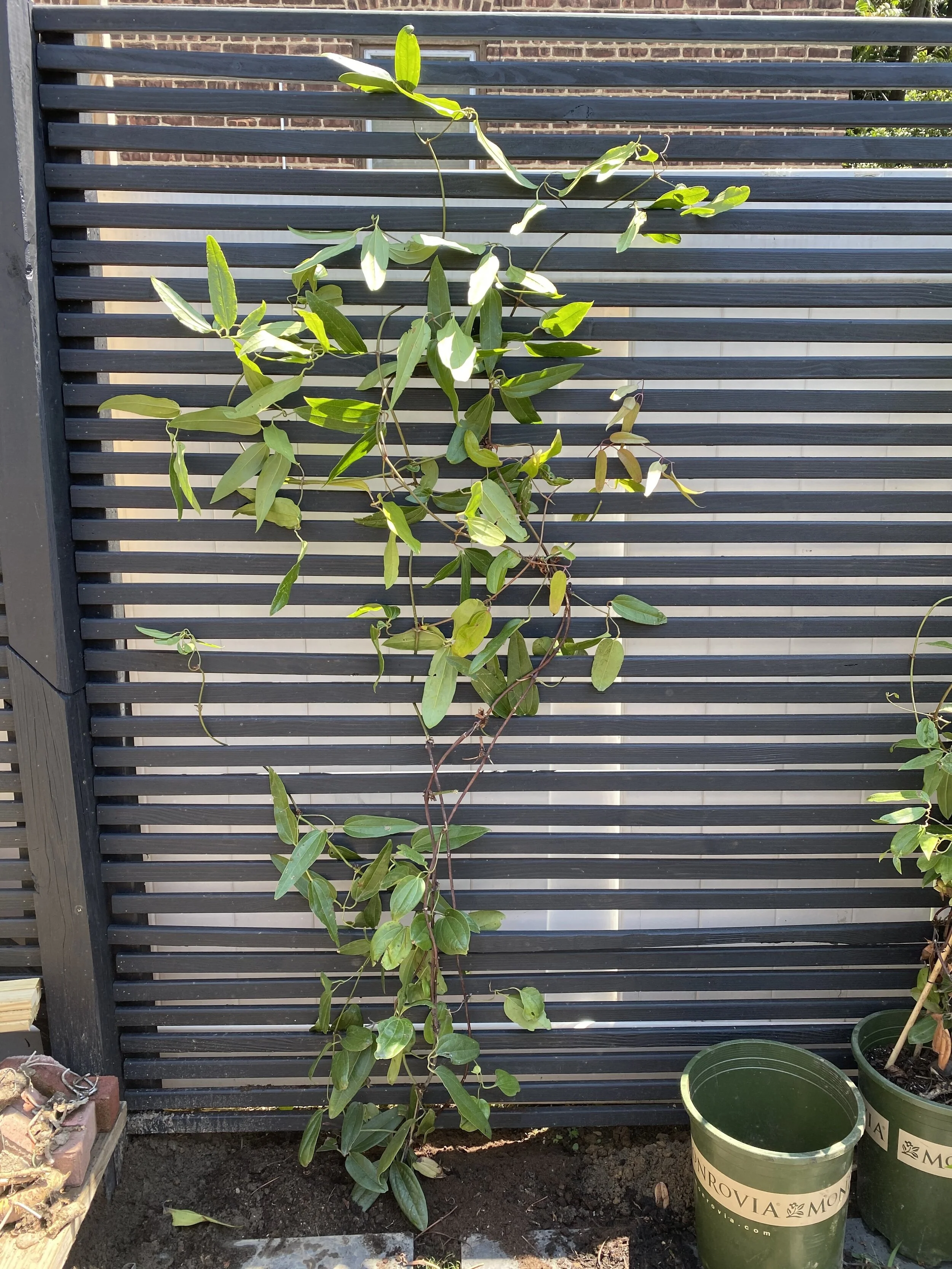 One Room Challenge Reveal-Our Urban Oasis