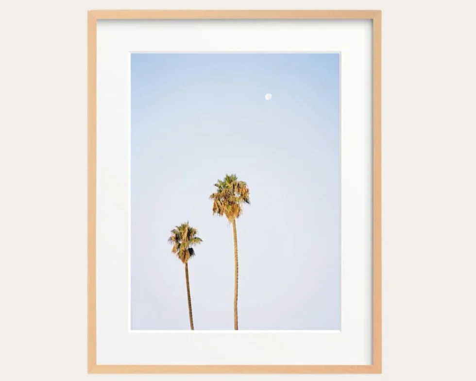 Palm Trees at Dusk Framed Photography
