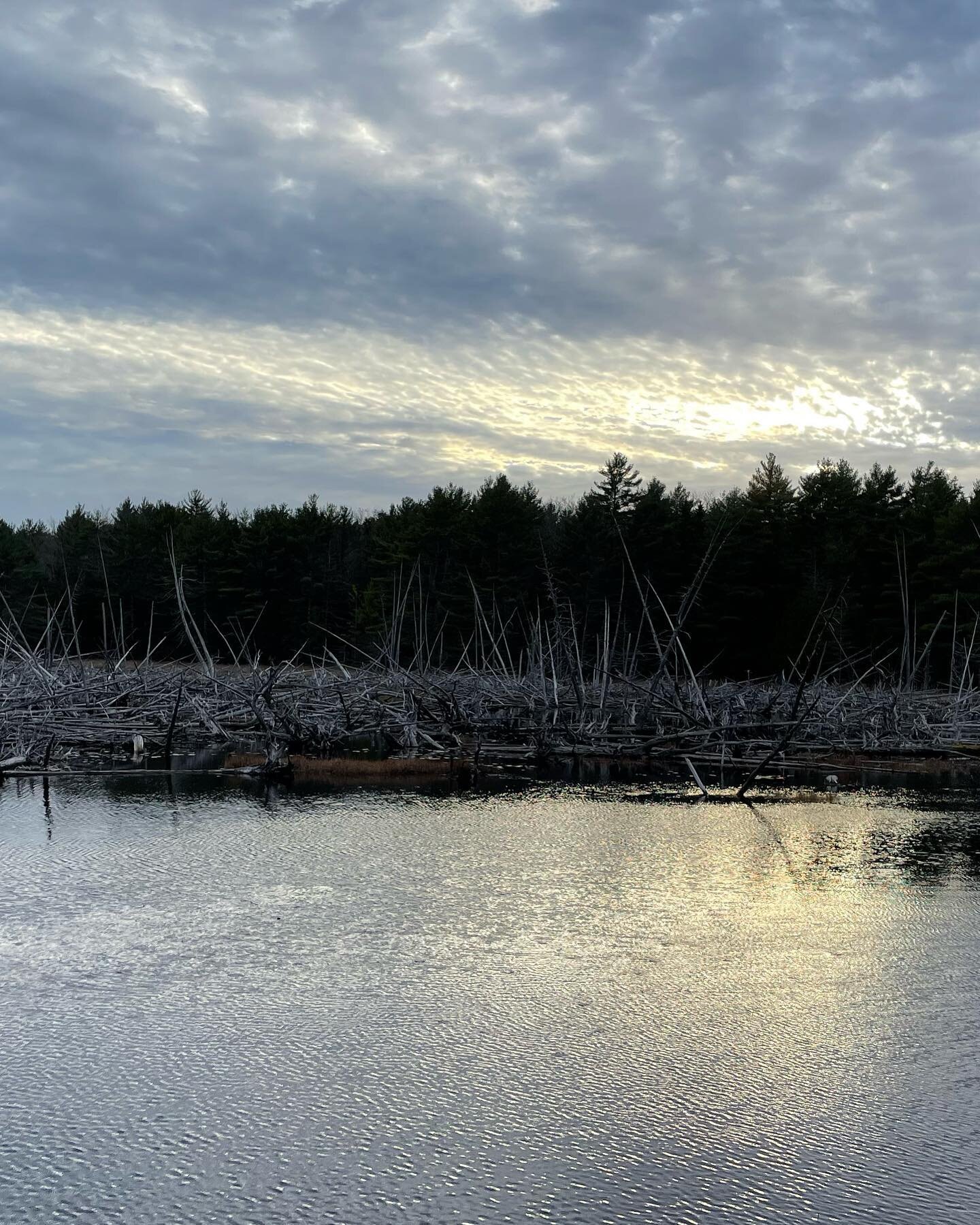 Lovely weekend escape. 
#eaglelake #acadianationalpark #maineinnovember #grateful