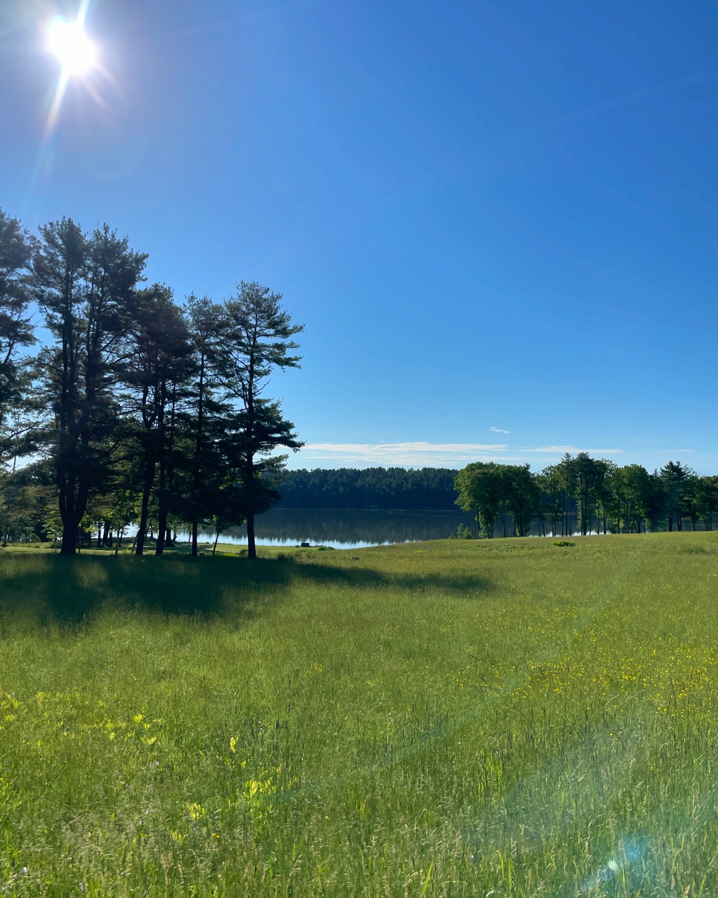 It&rsquo;s a sparkling day!!! Enjoy! 😊
#morningwalk #montsweagbay #lovemaine
