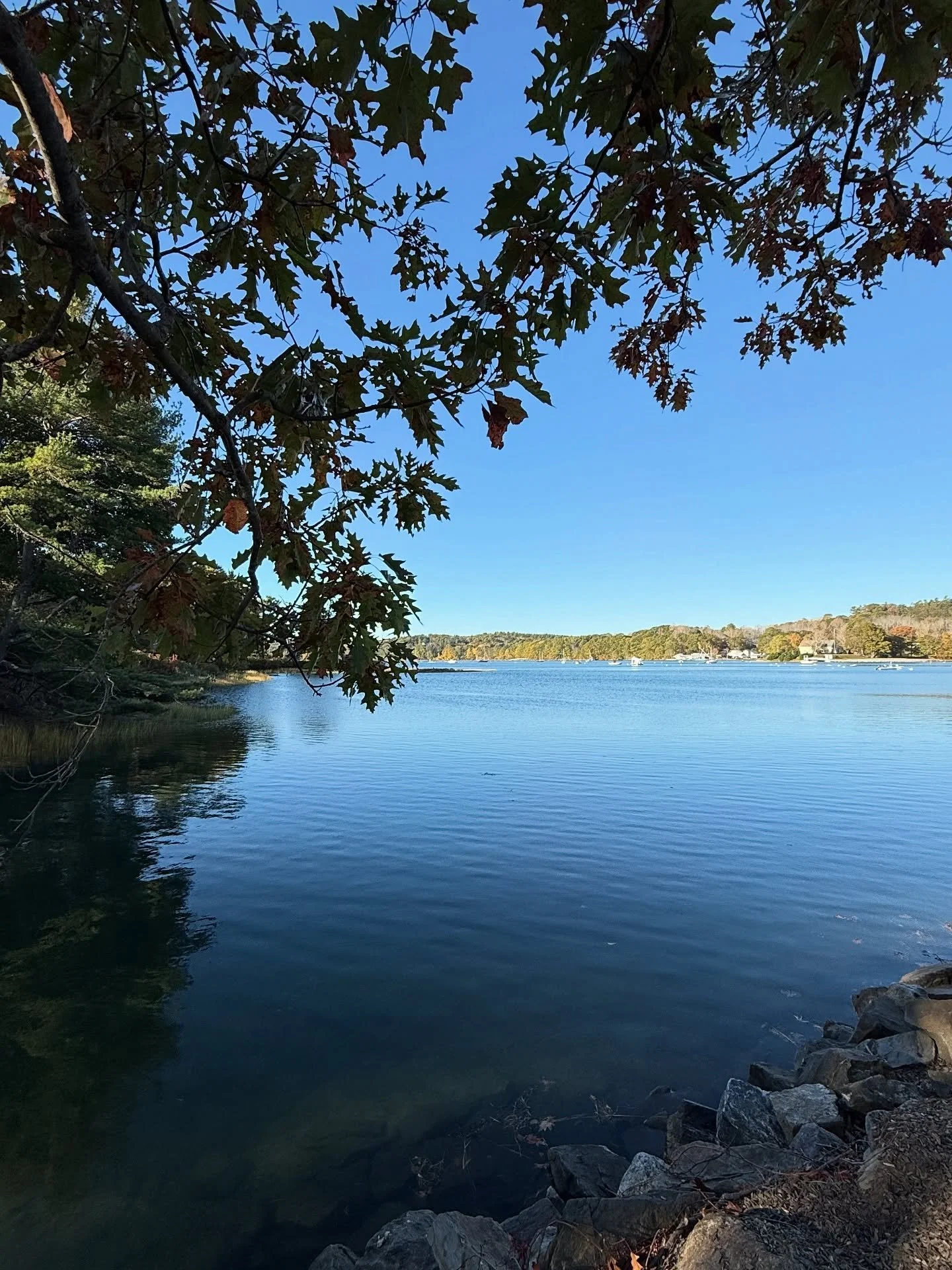It&rsquo;s a beautiful Friday morning! Get out and enjoy it! 
#morningmeditation #damariscottariver