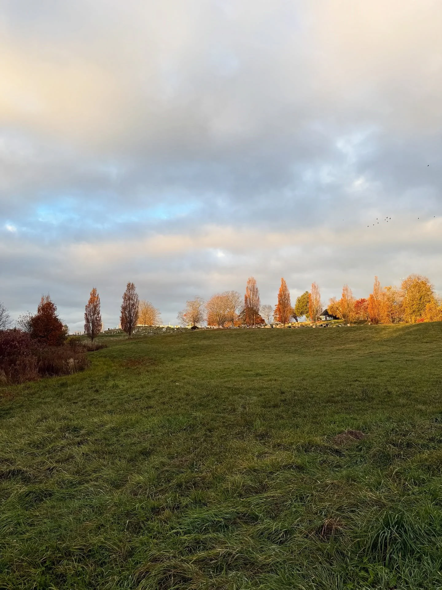Monday morning light! ☀️🌈🍁
#grateful