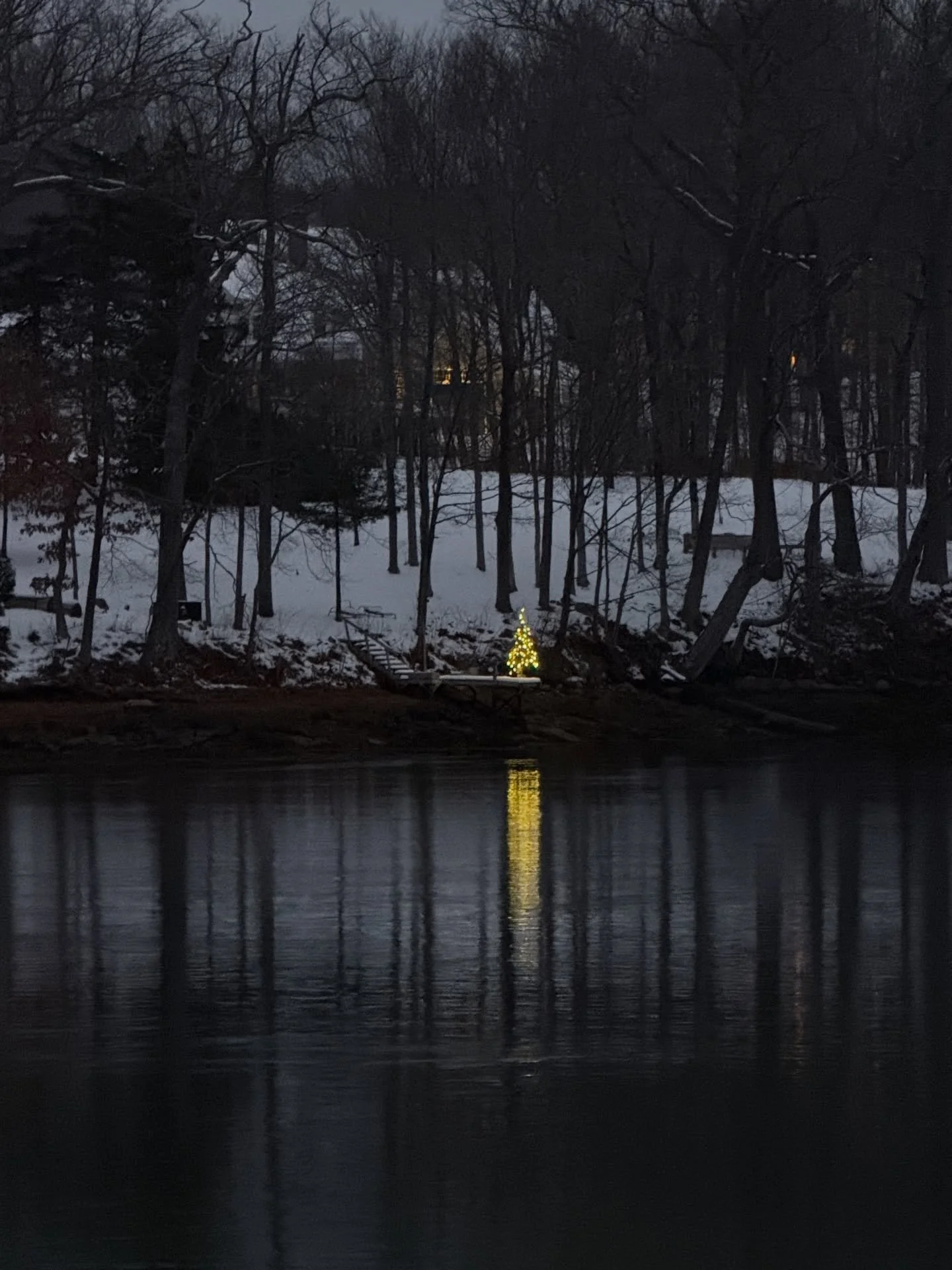 Ending the day with a beautiful walk. Twinkle lights are the best! 
#seasonoflight #edgingclosertosolstice