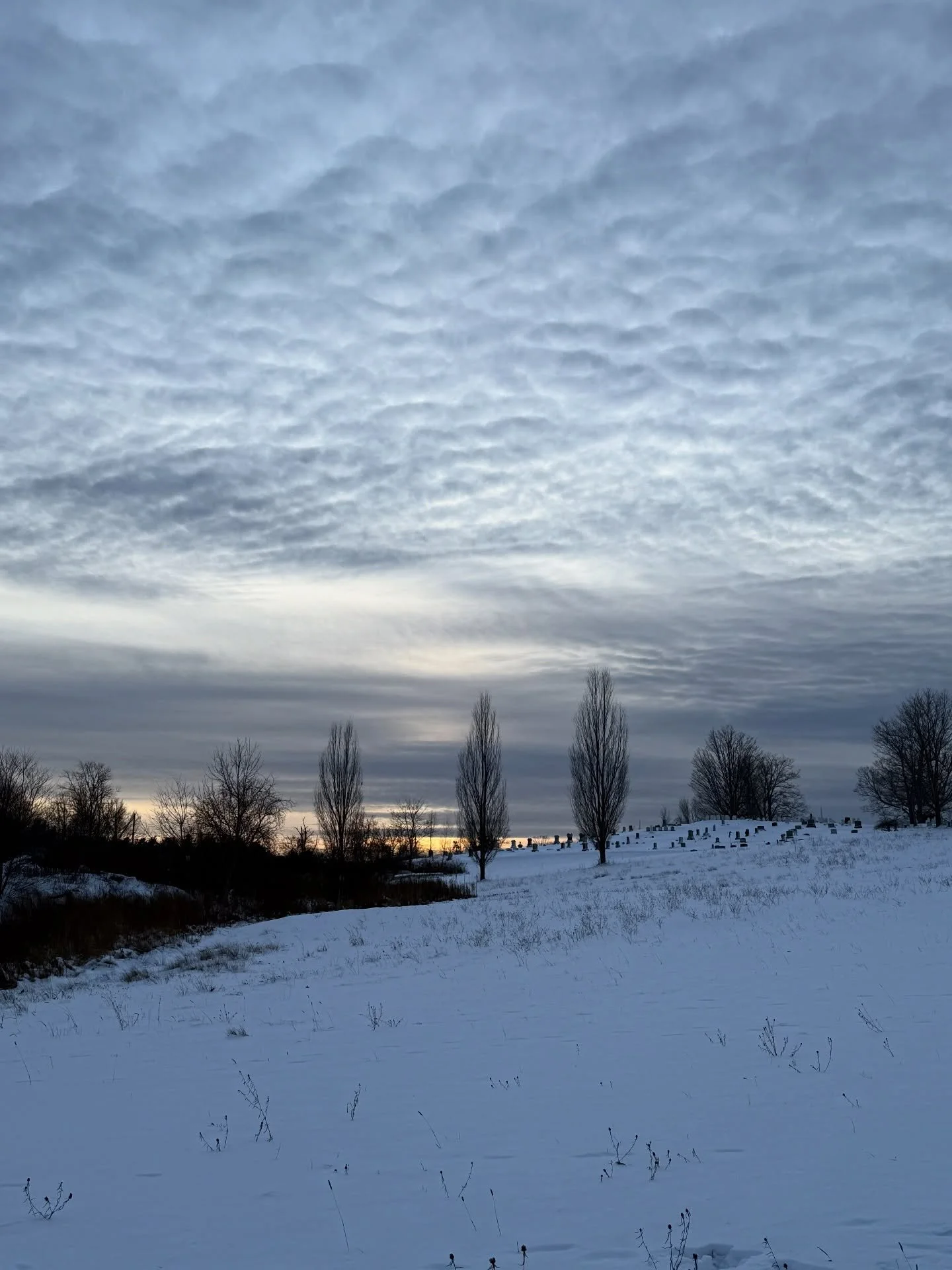 Evening walk. The dark comes earlier and earlier these days. Counting down til solstice. 
#eveningwalk #walkswithcoal #waitingforthelight