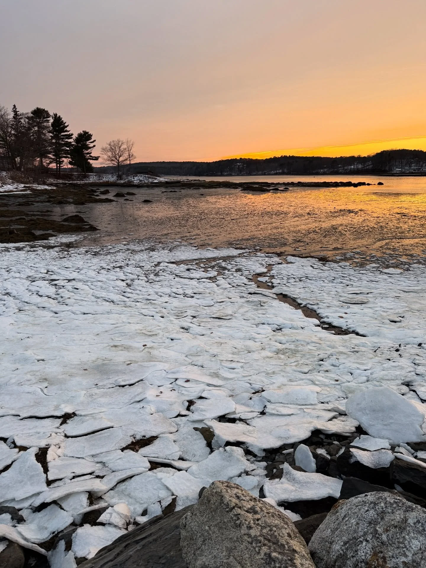 The light is amazing right now! Go look!!! 😍😍😍
#sunset #damariscottariver #decemberinmaine #lcn365