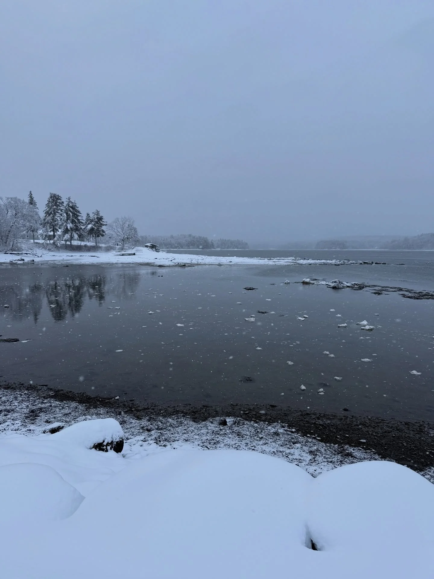 Sending love from the coast of Maine!!! Merry Merry! Happy Happy! Be well and be kind! ❤️