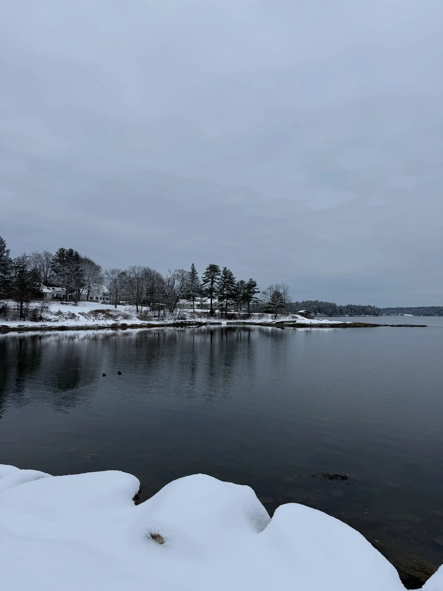 More frosting! 
#januaryinmaine #damariscottariver #snow