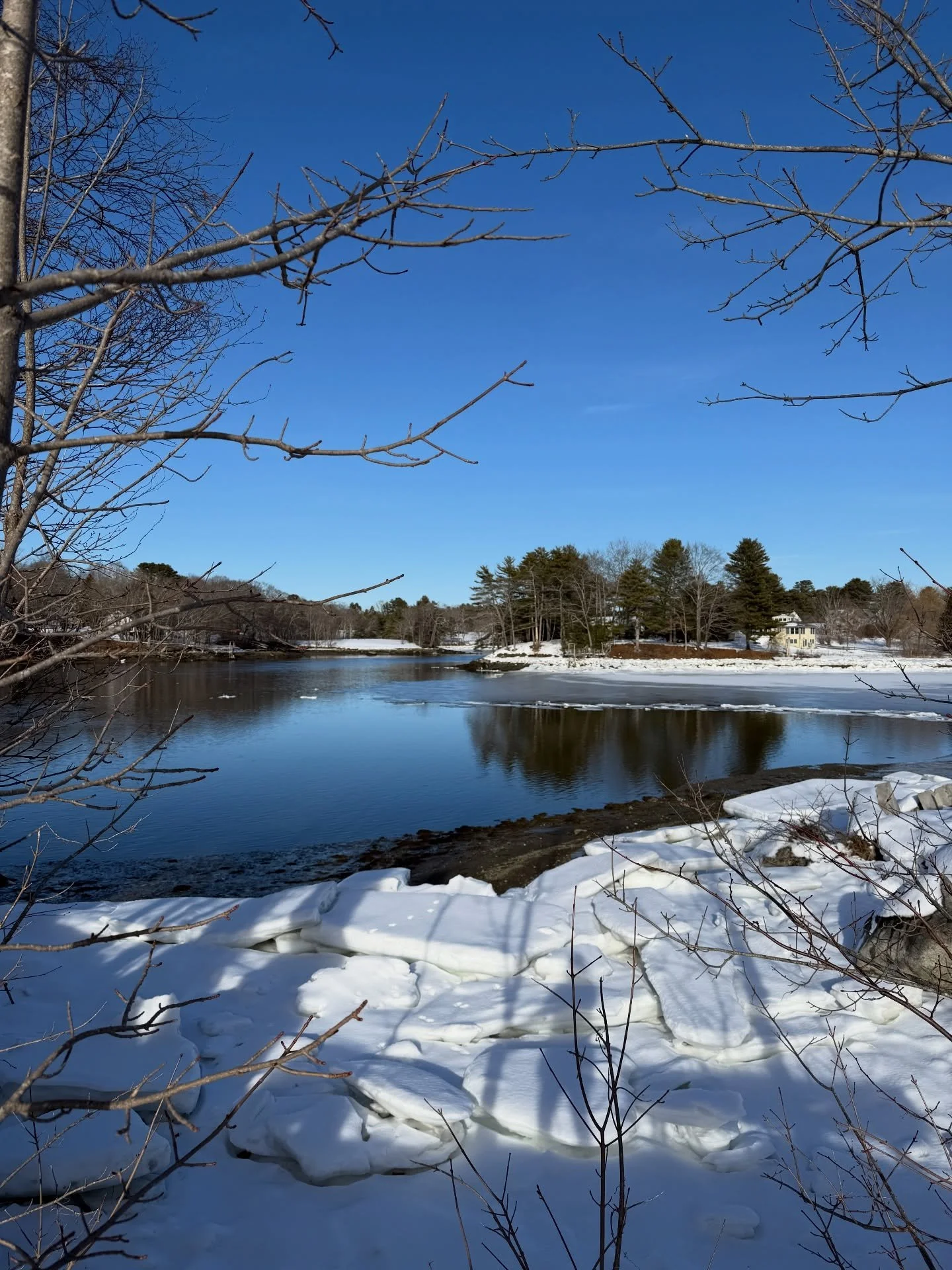 Feeling like spring! Blue skies and sunshine!!! 
#lovemaine #grateful