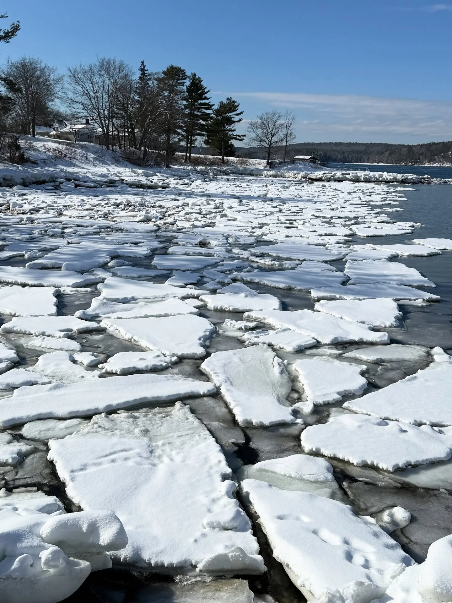 Home&hellip;nothing feels better despite all the fun I had in Baltimore! Thank you to @craftcouncil and all the artists and patrons alike! Until next year!!! 🩷🩷🩷