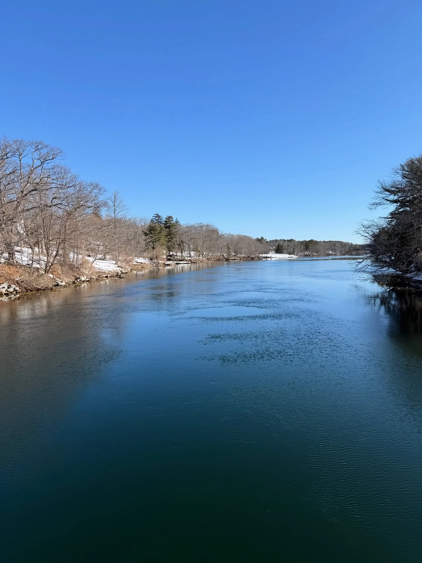Good morning sunshine 🌞 
#damariscottariver #morningwalk