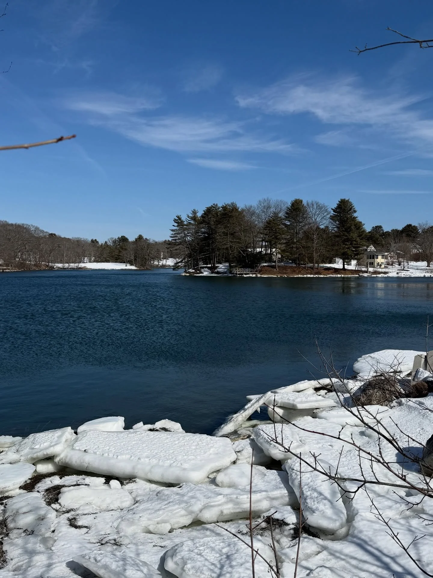 Morning blues. 
#damariscottariver #mood