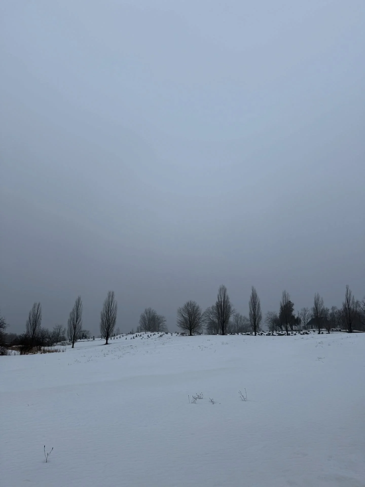 Foggy, gray, and warm. Ready for the snow to go!!! 
#marchgray #readyforspring