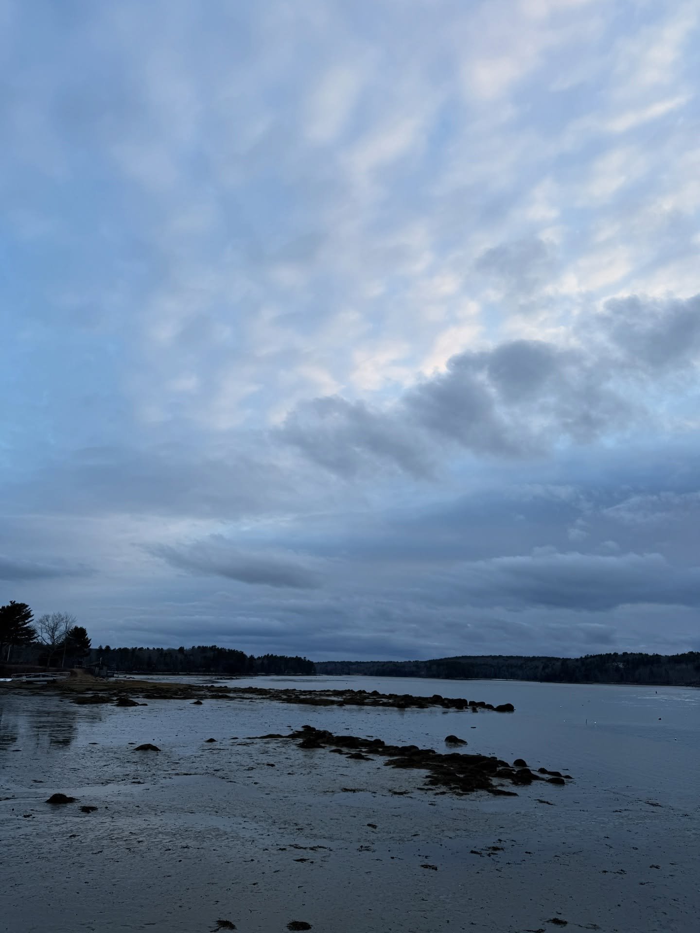 A beautiful walk to end the day.

#damariscottariver #breathe