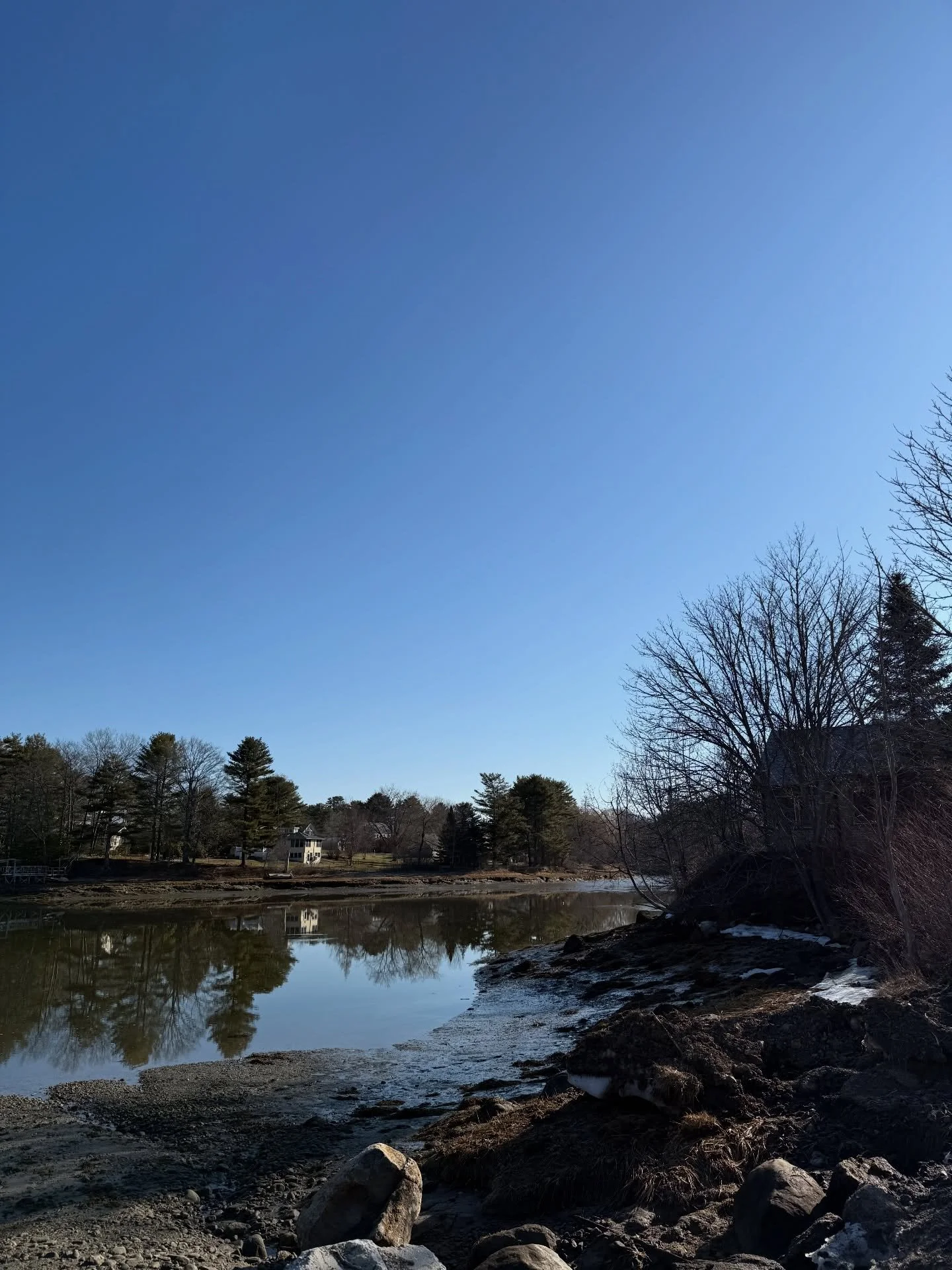 It&rsquo;s spring!!! Hoping the weather will catch up with the calendar soon! 
#spring2026 #damariscotta