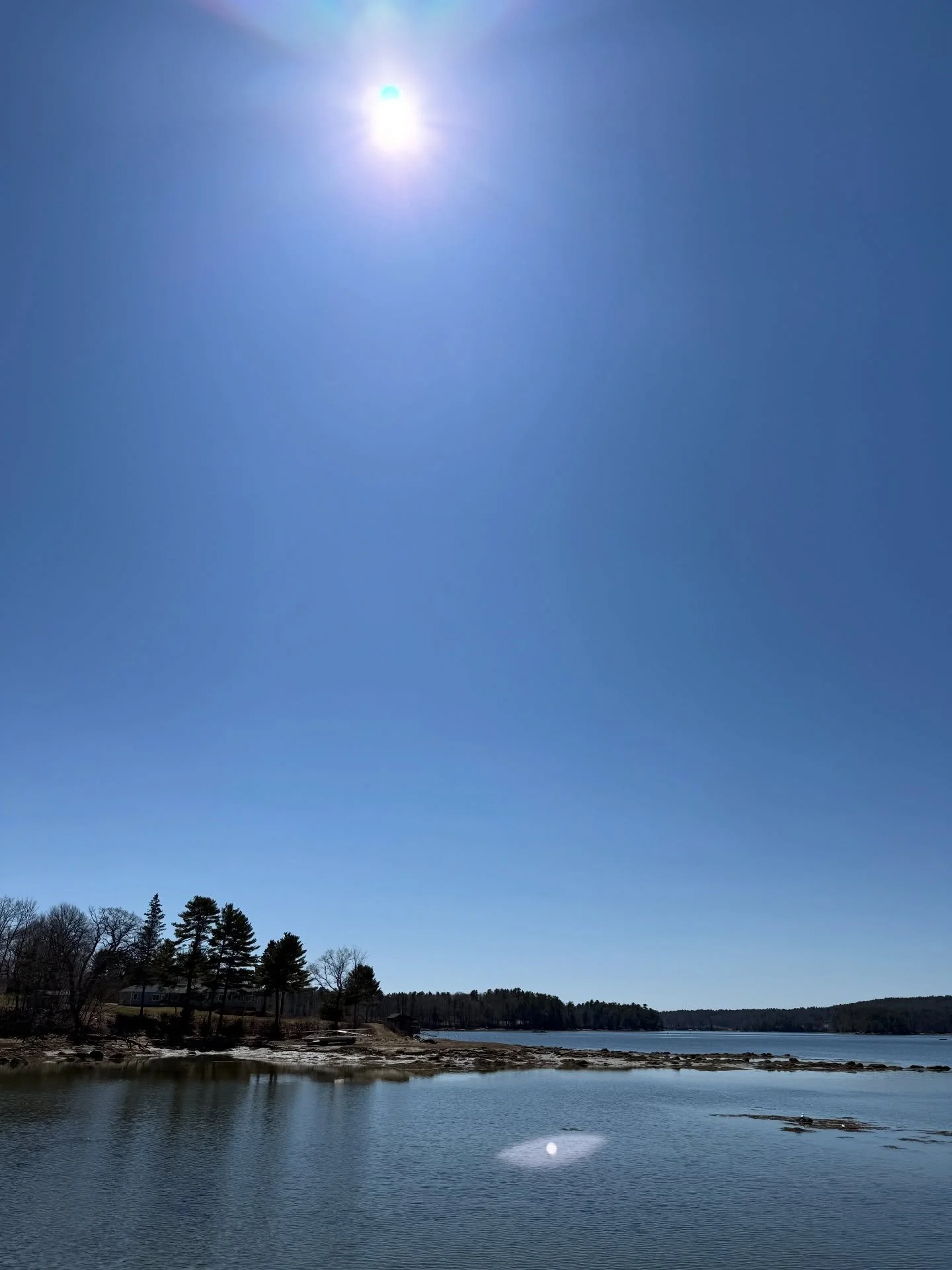 Midday walk in the sunshine! I&rsquo;m grateful! 
#damariscottariver #sunshine